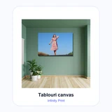 Tablouri Canvas 